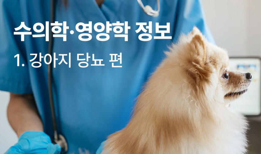 CARE-반려생활 1. 강아지 당뇨 편